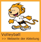Zur Webseite der Volleyballabteilung